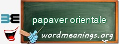 WordMeaning blackboard for papaver orientale